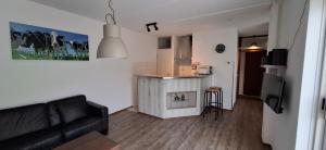 Kuchyň nebo kuchyňský kout v ubytování Vacation home Zwaantje #DKR2