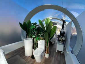 Fotografie z fotogalerie ubytování SKD Casa Amarilla Suite Rivera v destinaci El Tiemblo