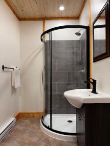 a bathroom with a shower and a sink at le Studio in Tadoussac