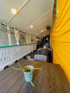 a table with a bucket on top of a room at Calipso Bocas Town - Cozy Caribbean House in the Center in Bocas Town