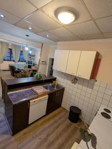 Kuhinja ili čajna kuhinja u objektu Apartman Dunja i Miloš