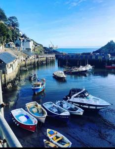 Gallery image of Harbour View Polperro in Polperro