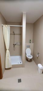 bagno con servizi igienici e doccia. di RÖNK - Rostallói Turistaház és Látogatóközpont a Regéc