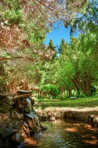 un ruscello in un parco con alberi e un muro di pietra di Grand Cottage a Trevelin