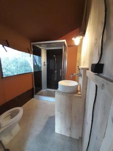 a bathroom with a toilet and a sink and a shower at glamping met landelijk uitzicht in Spanga