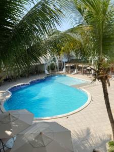 a large swimming pool with a palm tree and umbrellas at Hotel Master in Jequié
