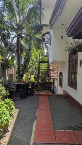 a stairway leading to a house with a palm tree at Villa Dewdrops in Hikkaduwa