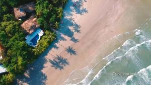 an aerial view of a beach with palm trees at Villa in the middle of the Atlantic Forest in Guarujá