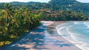 an aerial view of a beach with palm trees at Villa in the middle of the Atlantic Forest in Guarujá