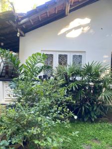 Zahrada ubytování Unakuruwa Ravenala Homestay