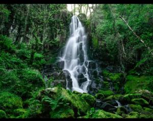 a waterfall in the middle of a forest at Arca de Noé in Valle de Oro