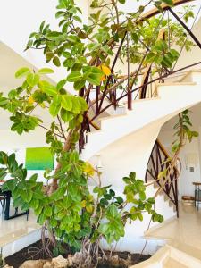Vonkajšia záhrada v ubytovaní Spacious villa in Altea Hills