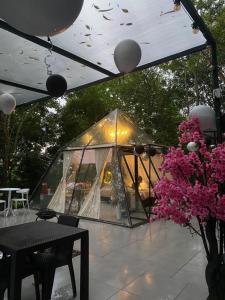 Zahrada ubytování EKA Glamping
