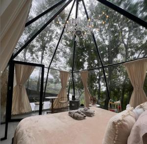 Zahrada ubytování EKA Glamping