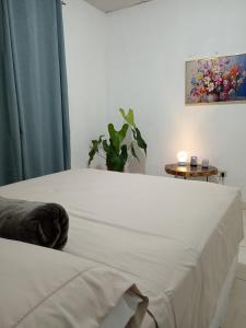 a white bed in a room with a plant at Copey house Chiriquí, vía hacia Volcán in La Concepción