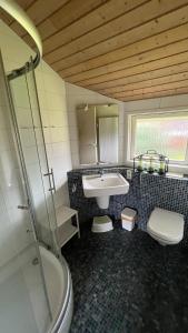 a bathroom with a sink and a shower and a toilet at Ferienhaus mit drei Schlafzimmern Nähe Freizeitpark Schloss Dankern Dankernsee in Düne