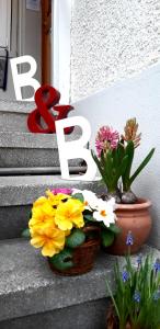 Foto dalla galleria di B&B Kalimera Pratteln a Pratteln