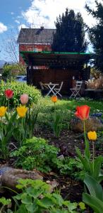 Giardino di B&B Kalimera Pratteln