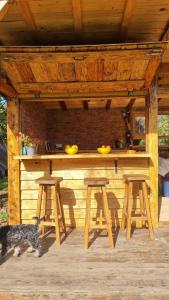 a wooden table with two stools and a dog under it at Camp Wolf & Sheep- Nature & Adventure in Podgorica