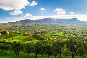 Un campo verde con árboles y montañas al fondo. en Cabana Cavnic Maramures, en Cavnic