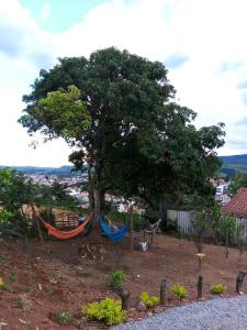 Zahrada ubytování Chalé Pingo de Ouro Socorro SP