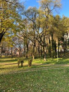 a park with trees and a field of grass at Park Apartment in Foča