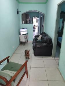 a cat sitting on the floor in a living room at Casa Guaibim ótima localização in Valença
