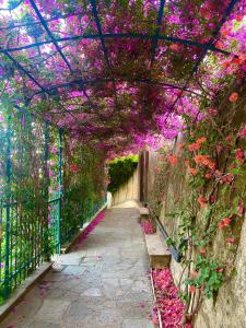 een loopbrug bedekt met roze bloemen en planten bij casa lella home in Recco