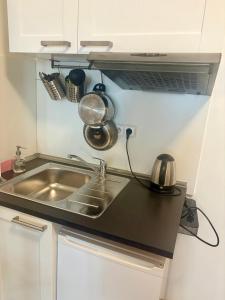 Kuchyňa alebo kuchynka v ubytovaní Žižkov Cosy Studio Apartments