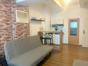 Kuchyňa alebo kuchynka v ubytovaní Žižkov Cosy Studio Apartments