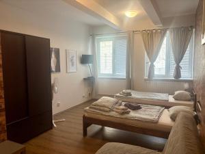 Televízia a/alebo spoločenská miestnosť v ubytovaní Žižkov Cosy Studio Apartments
