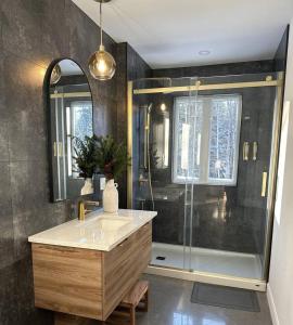 une salle de bains avec douche, lavabo et miroir dans l'établissement Cottage Quebec - L'Eclipse Nordique, à Petite-Rivière-Saint-François