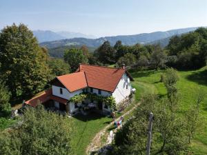 a house with an orange roof on a hill at Tolmin Holiday Home in Gorenji Log