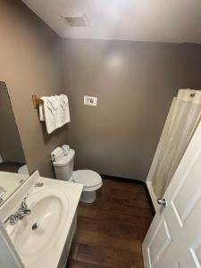 a bathroom with a white toilet and a sink at Live In Lodge Stone Mountain in Stone Mountain +16 photos