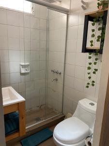 a bathroom with a shower with a toilet and a sink at Departamentos Pura Vida in General Roca