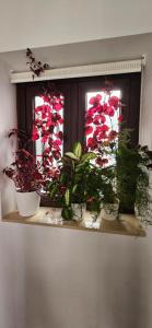 隆达Apartamentos Los Descalzos Ángel With Private Terrace Free Parking的相册照片