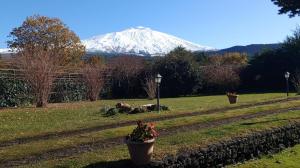 Paesaggio naturale nelle vicinanze della casa vacanze