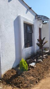 Ga-MothapoにあるVilla Tlhago Lodgeの窓と植物のある白い家