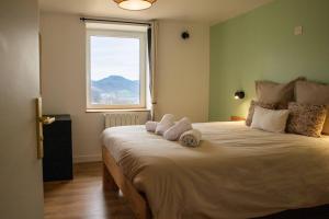 Postel nebo postele na pokoji v ubytování Duplex vue sur les montagnes - Orbey