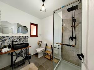 a bathroom with a shower and a toilet at Cabane A-frame CeziAde Tihuta in Piatra Fantanele +96 photos