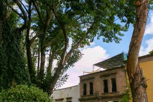 an old house with trees in front of it at Precioso departamento privado in Morelia