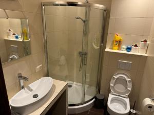 un bagno con doccia, WC e lavandino di Wyłączony a Krotoszyce