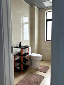 a bathroom with a toilet and a sink at Apartamento Condomínio Vila Flor in Viana +18 photos