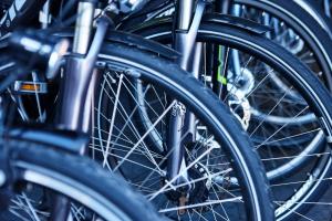 Attività di ciclismo presso l'hotel o nelle vicinanze