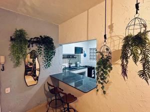 a kitchen with plants on the wall and a counter at Meu Loft Itauna 1 - Localização Privilegiada in Saquarema