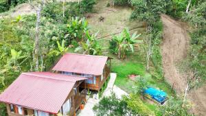 A garden outside Cabañas Los Profes