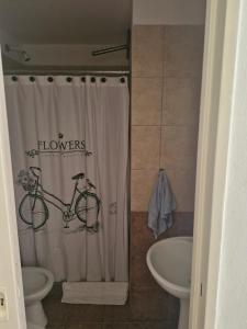 baño con cortina de ducha y bicicleta en Posada de campo LA AMADA, en San Pedro