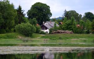 a house in the middle of a field next to a lake at Apartment Jezerka in Cerknica