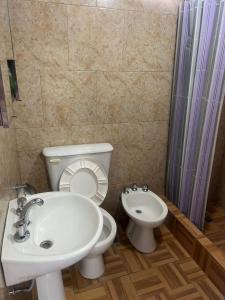 a bathroom with a sink and a toilet and a shower at departamento nicolay in Junín +7 photos