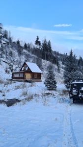 a house in a field with snow on the ground at Таежный домик Васильево in Poperechnoye +66 photos